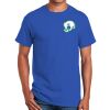 Ultra Cotton ® 100% Cotton T Shirt Thumbnail