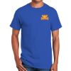 Ultra Cotton ® 100% Cotton T Shirt Thumbnail