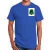 Ultra Cotton ® 100% Cotton T Shirt Thumbnail