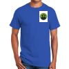 Ultra Cotton ® 100% Cotton T Shirt Thumbnail